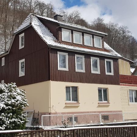 Ferienhaus Am Fluss Mit Traumhafter Dachterrasse ,Garten Und Grill Walkenried 外观 照片
