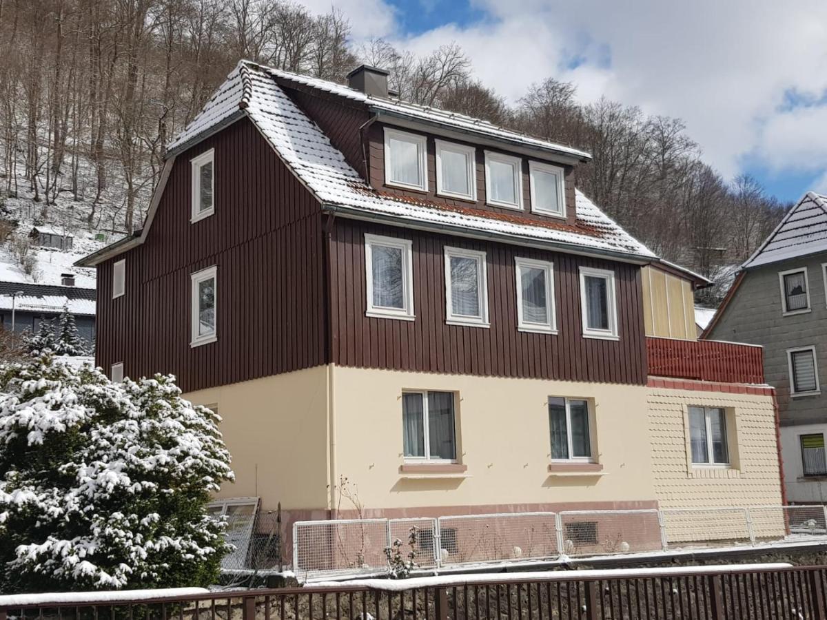 Ferienhaus Am Fluss Mit Traumhafter Dachterrasse ,Garten Und Grill Walkenried 外观 照片