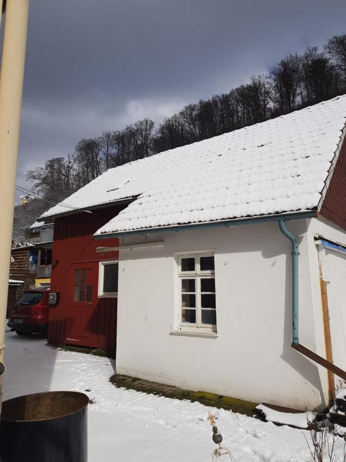 Ferienhaus Am Fluss Mit Traumhafter Dachterrasse ,Garten Und Grill Walkenried 外观 照片