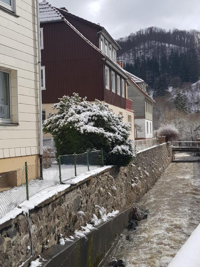Ferienhaus Am Fluss Mit Traumhafter Dachterrasse ,Garten Und Grill Walkenried 外观 照片