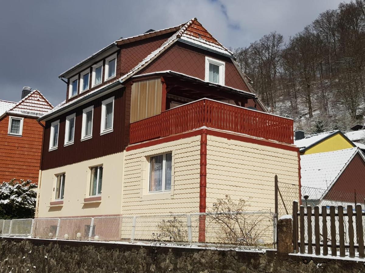 Ferienhaus Am Fluss Mit Traumhafter Dachterrasse ,Garten Und Grill Walkenried 外观 照片