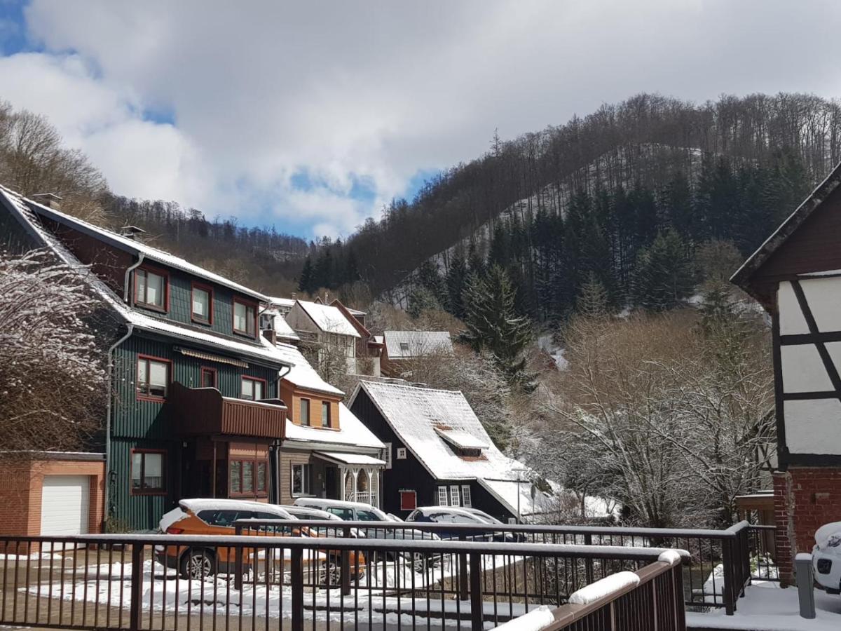 Ferienhaus Am Fluss Mit Traumhafter Dachterrasse ,Garten Und Grill Walkenried 外观 照片