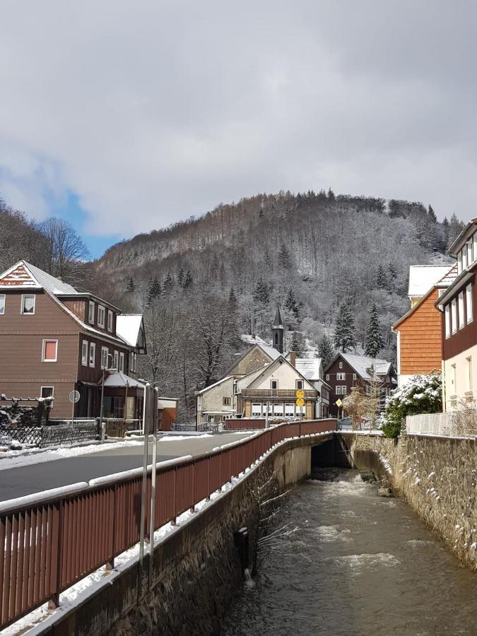 Ferienhaus Am Fluss Mit Traumhafter Dachterrasse ,Garten Und Grill Walkenried 外观 照片