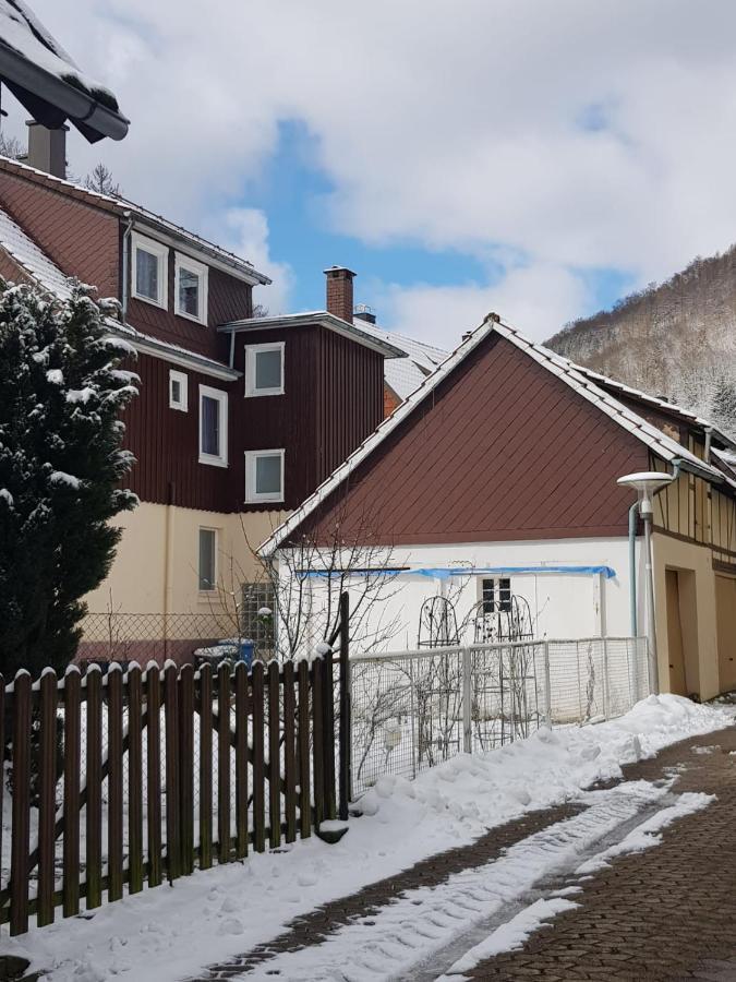 Ferienhaus Am Fluss Mit Traumhafter Dachterrasse ,Garten Und Grill Walkenried 外观 照片