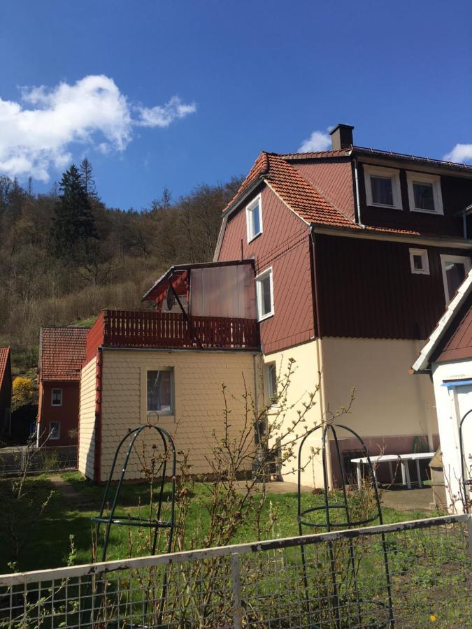 Ferienhaus Am Fluss Mit Traumhafter Dachterrasse ,Garten Und Grill Walkenried 外观 照片