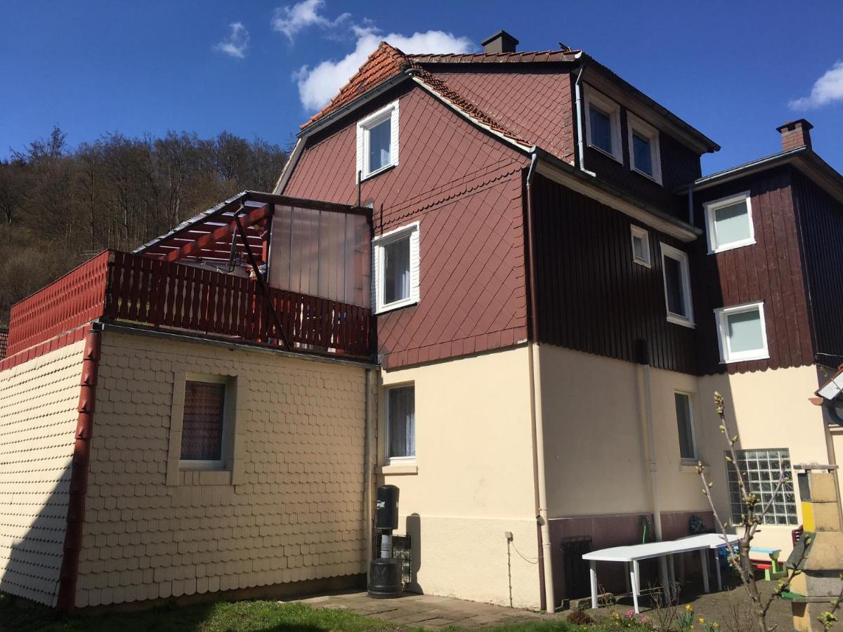 Ferienhaus Am Fluss Mit Traumhafter Dachterrasse ,Garten Und Grill Walkenried 外观 照片