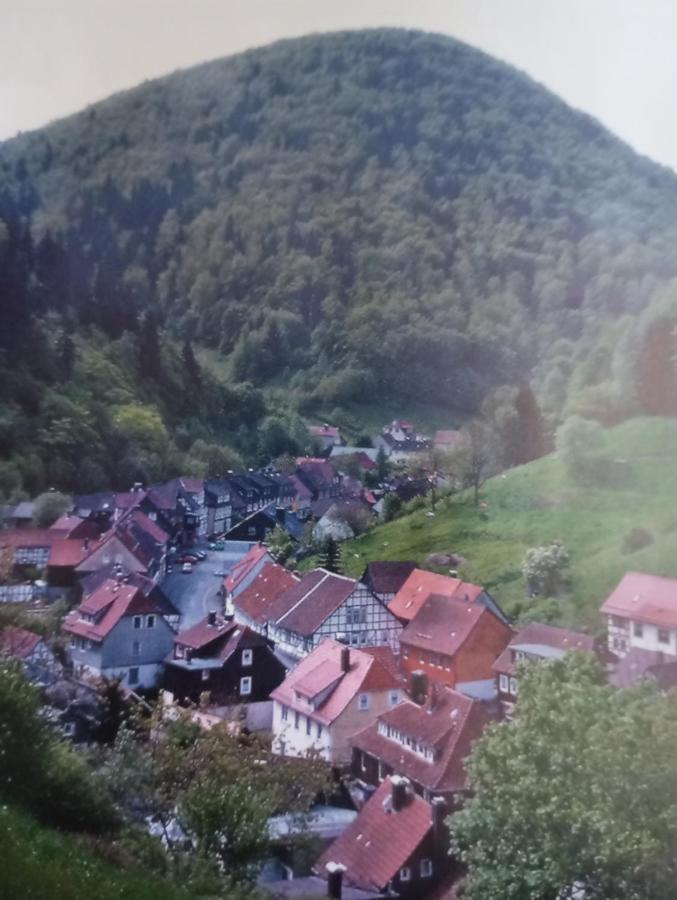 Ferienhaus Am Fluss Mit Traumhafter Dachterrasse ,Garten Und Grill Walkenried 外观 照片